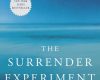 the surrender experiment