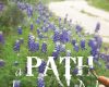 a path less traveled