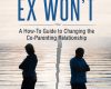 co parenting when your ex wont a how to guide to