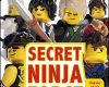 dk readers l2 the lego ninjago movie secret n