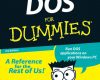 dos for dummies