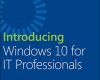 introducing windows 10 for it professionals