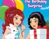 lego friends the birthday surprise chapter book
