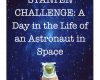 lego story starter challenge a day in the life of