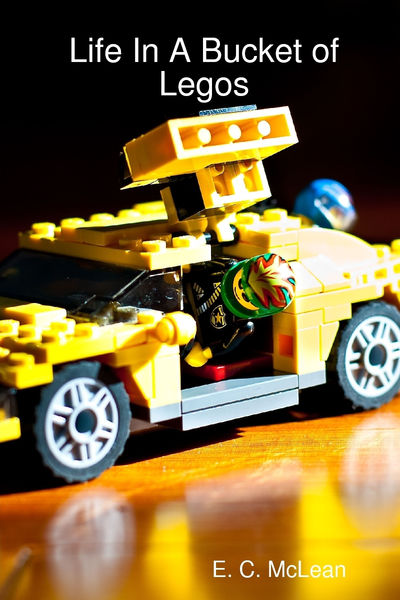 Life In a Bucket of Legos