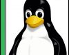 linux questions and answers
