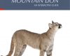 os x tutorials upgrade to mountain lion