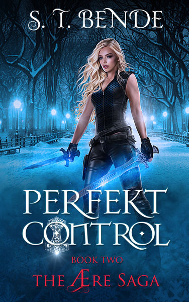 Perfekt Control (The Ære Saga Book 2)