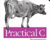 practical c programming