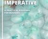 the artificial intelligence imperative a practica