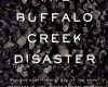the buffalo creek disaster