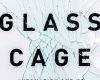 the glass cage how our computers are changing us