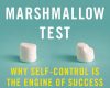 the marshmallow test