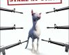 the men who stare at goats