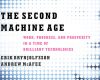 the second machine age work progress and prospe