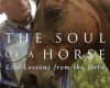 the soul of a horse