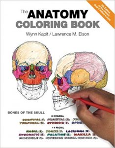 Top 29 Adult Coloring Books That Make Fun