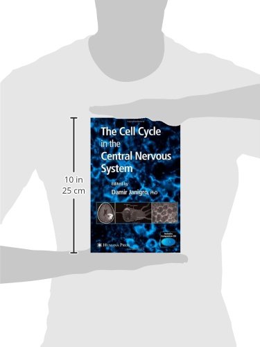 The Cell Cycle in the Central Nervous System (Contemporary Neuroscience)