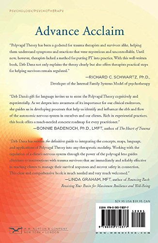 The Polyvagal Theory in Therapy: Engaging the Rhythm of Regulation (Norton Series on Interpersonal Neurobiology)