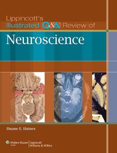 Lippincotts Illustrated Q&A Review of Neuroscience