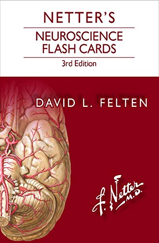 Netters Neuroscience Flash Cards