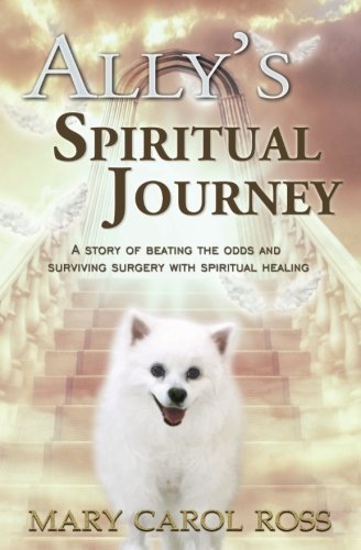 Allys Spiritual Journey: A Story of Beating the Odds and Surviving Surgery with Spiritual Healing