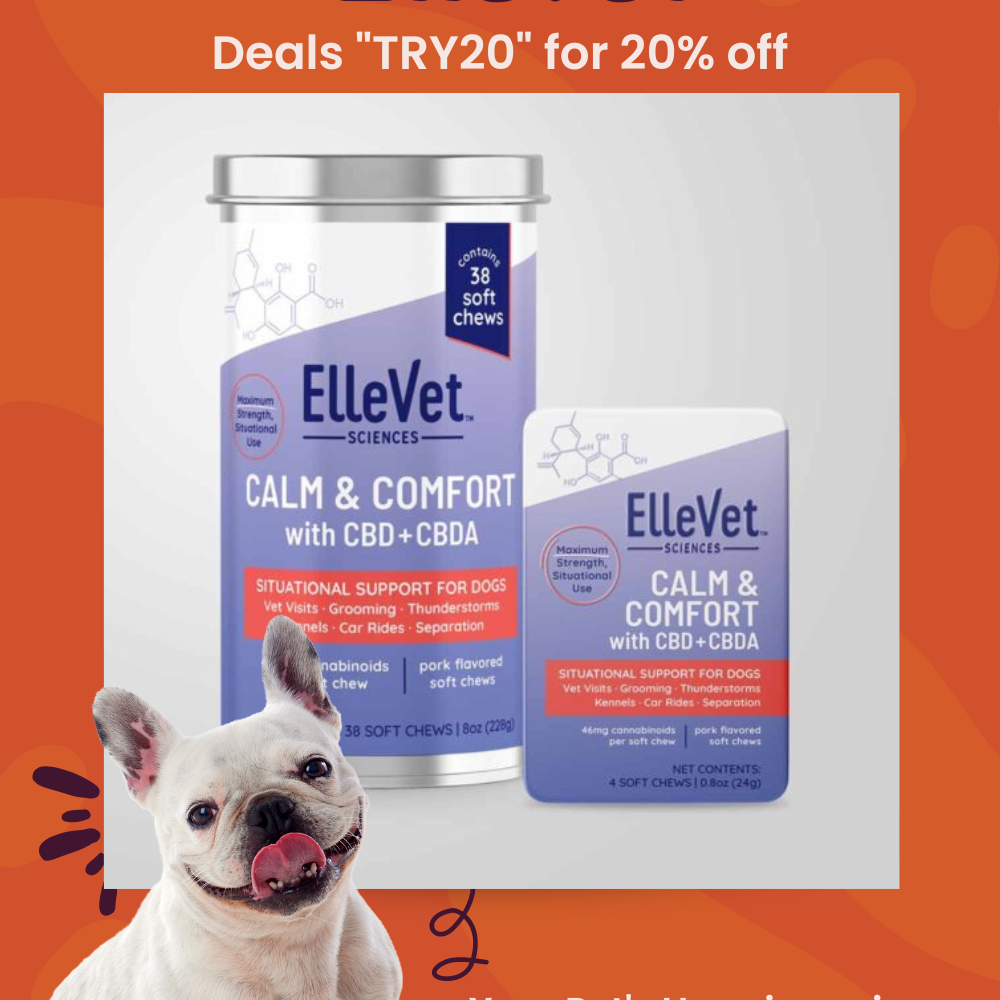 Calm and Comfort Chews: Managing Pet Anxiety With Ellevet